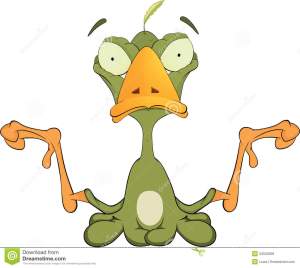 ?????????????????????????????????????????????????????????????????